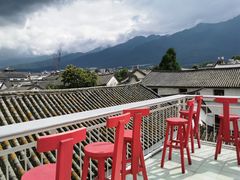 -喵屿·大理花园猫咖