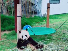 -杭州野生动物世界