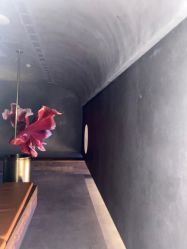 -宸山医美·变美艺术馆