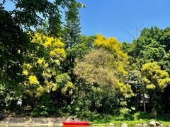 -深圳国际园林花卉博览园