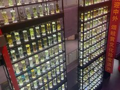 -广东中医药博物馆
