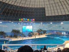 -泉城欧乐堡海洋极地世界