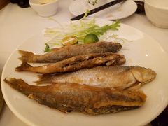 -稻香酒家·33年老字号·港式粤菜(富邦中心店)