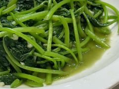 -优之名鹅城