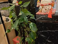 -鹿港小镇(金虹桥国际中心店)