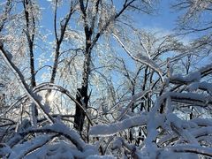 -中旅松花湖滑雪场