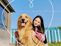 -趣玩宠物乐园寄养训犬训狗游泳池