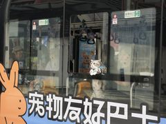 -帕帕拉兹宠物(亚洲旗舰店)