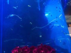 -OPEN開全日自助餐厅·牛肉火锅·海鲜(佛山希尔顿酒店)