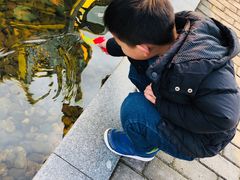 -白塘生态植物园