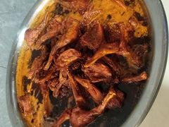 -食神又名厕所兔