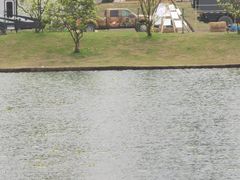 -赤面仔(麓湖美食岛店)