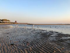 -老虎石海上公园