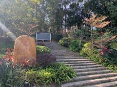 -火炉山森林公园