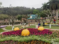 -广州莲花山旅游区