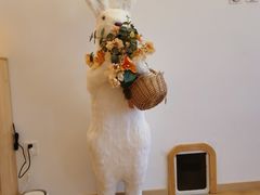 -猫腻·猫咖·撸猫馆(星光大道店)