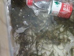 -品雅轩农家乐