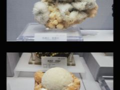 -湖南省地质博物馆