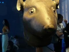 -广西壮族自治区博物馆