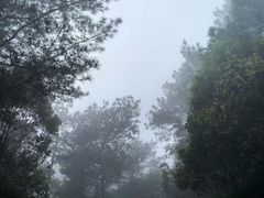 -綦江古剑山