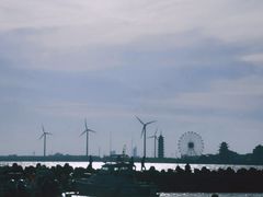 -奉贤海滩
