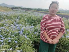 -光明小镇欢乐田园