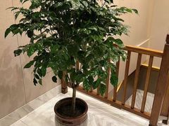 -小天厨民间菜馆(深圳街店)