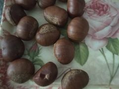 -阿男野栗王(金门路店)