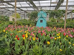 -南宫五洲植物乐园