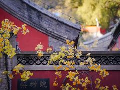 -潭柘寺景区