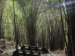 -凤栖山