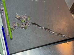 -隐工匠·银饰·烧玻璃DIY手工坊(蓝·芳华店)