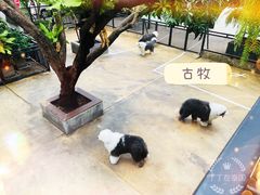 -TrueLove @ Neverland (Husky Cafe)