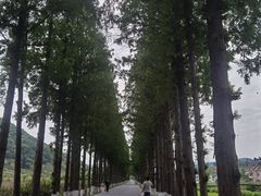 -南北湖风景区