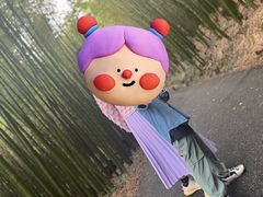 -苏州环秀晓筑养生度假村