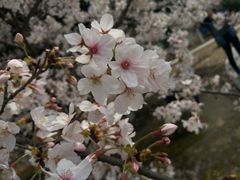 -公益图书馆(江南大学店)