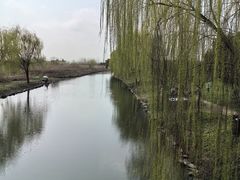 -广富林郊野公园