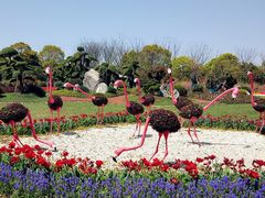 -上海鲜花港