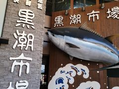 -黑潮市场