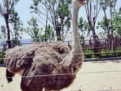 -南京金牛湖风景区