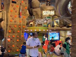 -卡通尼·Safari非洲探索乐园·生日会(金桥国际商业广场店)