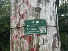 -BE YOLO必有乐&小红帽三明治