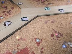 -国家地理探险家中心