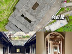 -雁南飞茶田景区