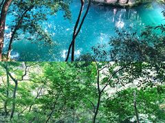 -之江大学-旧址