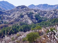 -龙泉峪长城