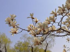 -共青国家森林公园-售票处