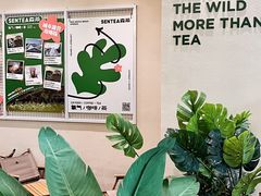 -SENTEA森茶(麦地丽日店)