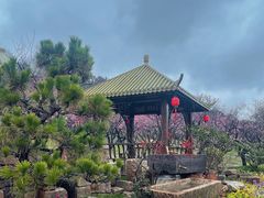 -无锡梅园公园