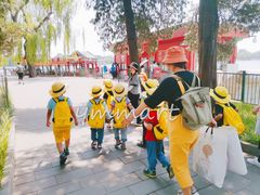 -杨梅红艺术教育(北京金源购物中心校区)